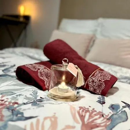 Apartment L'elegant T3nimes Parking-centre